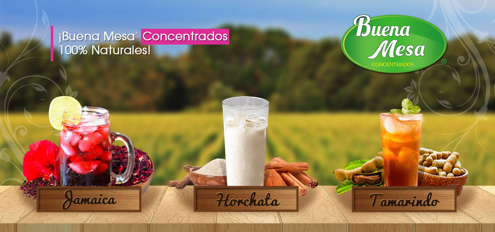 BANNER JAMAICA HORCHATA TAMARINDO